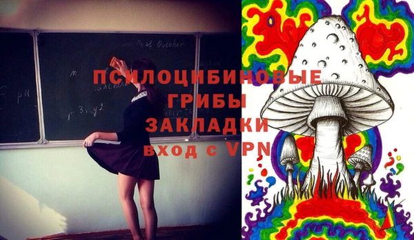 сатива Краснотурьинск