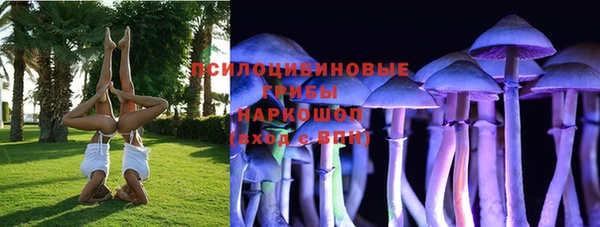 сатива Краснотурьинск