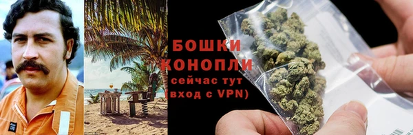 сатива Краснотурьинск