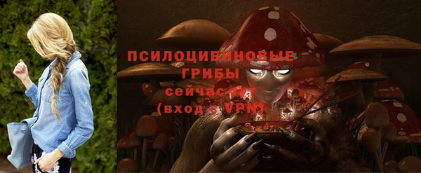 2c-b Кукмор